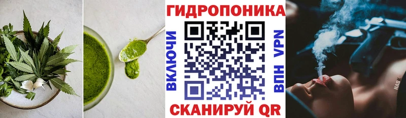 Cannafood марихуана  Бабаево 