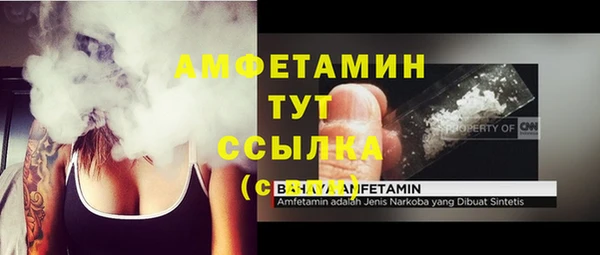 тгк Алзамай