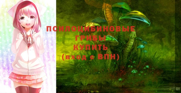 тгк Алзамай