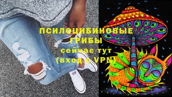 тгк Алзамай